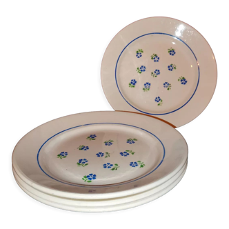 Assiettes fleurs bleues Badonviller