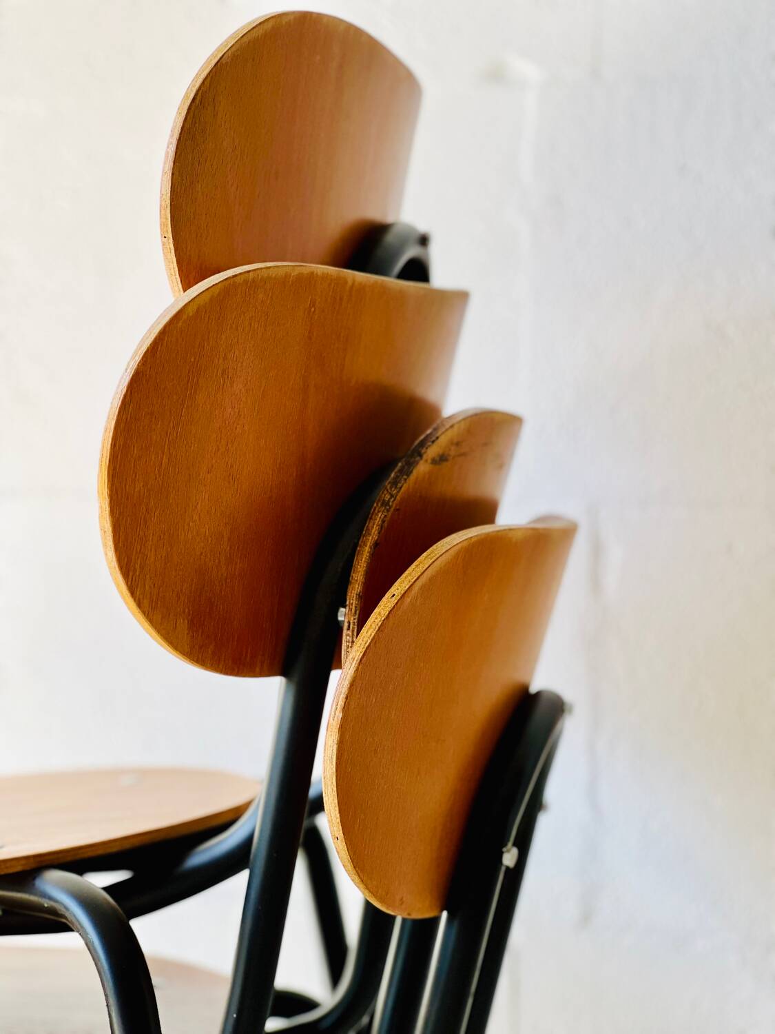 School Chairs by Kovona, set of 6