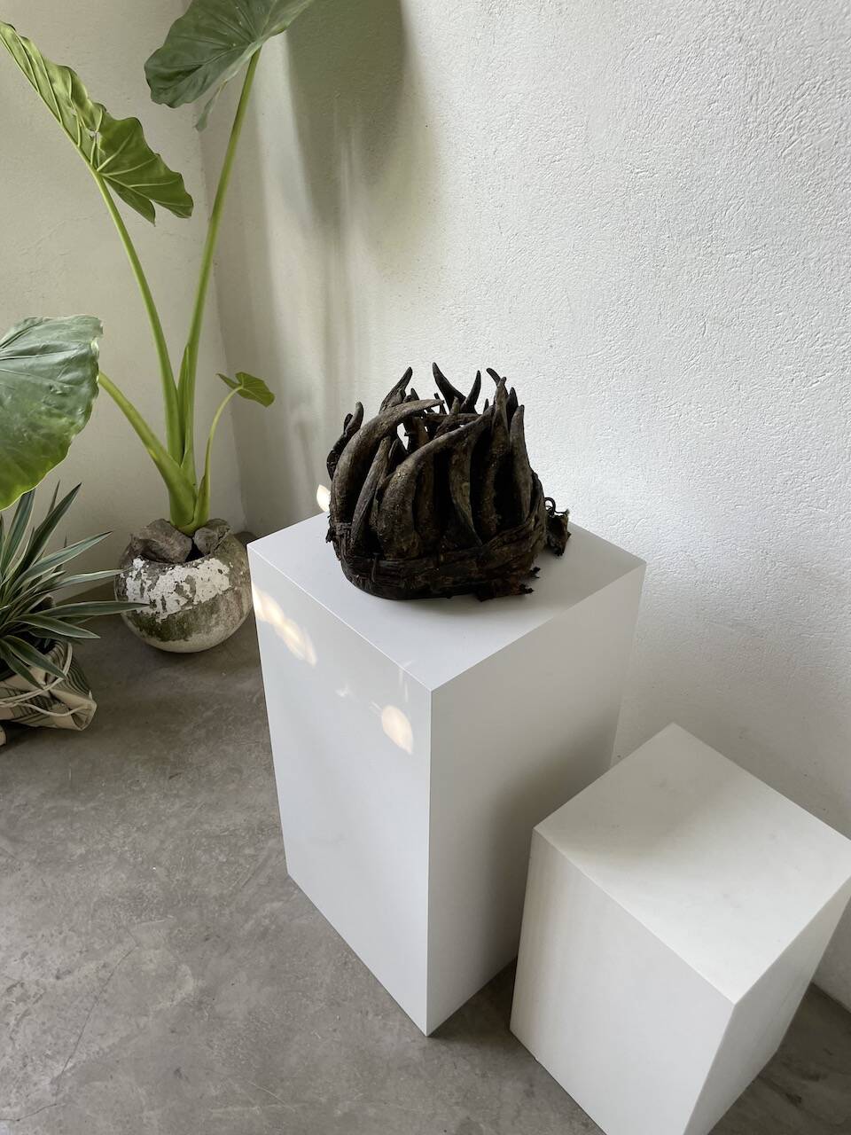 Bété Nyabwa mask Ivory Coast