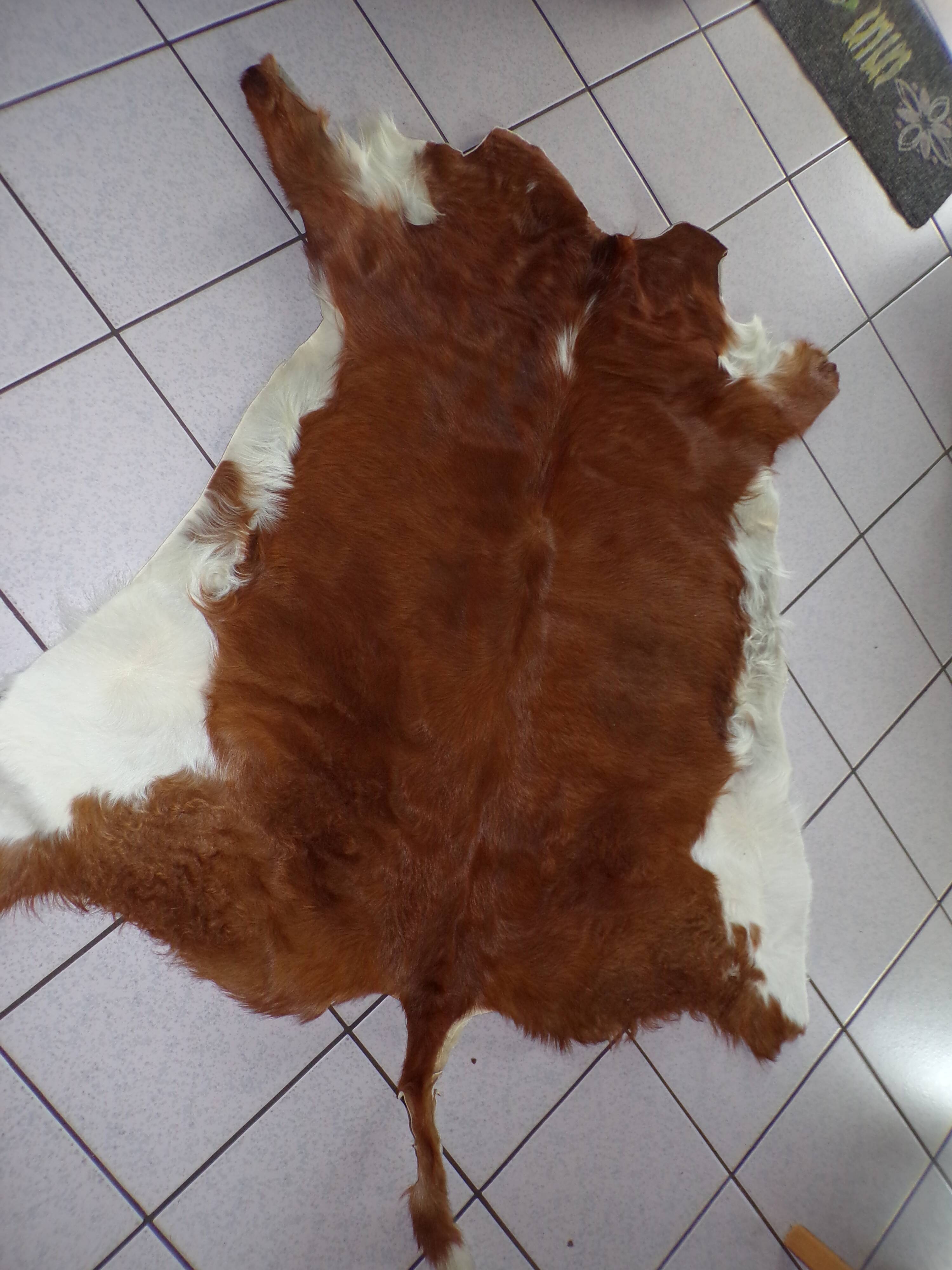 Tanned calf skin 130x100cm