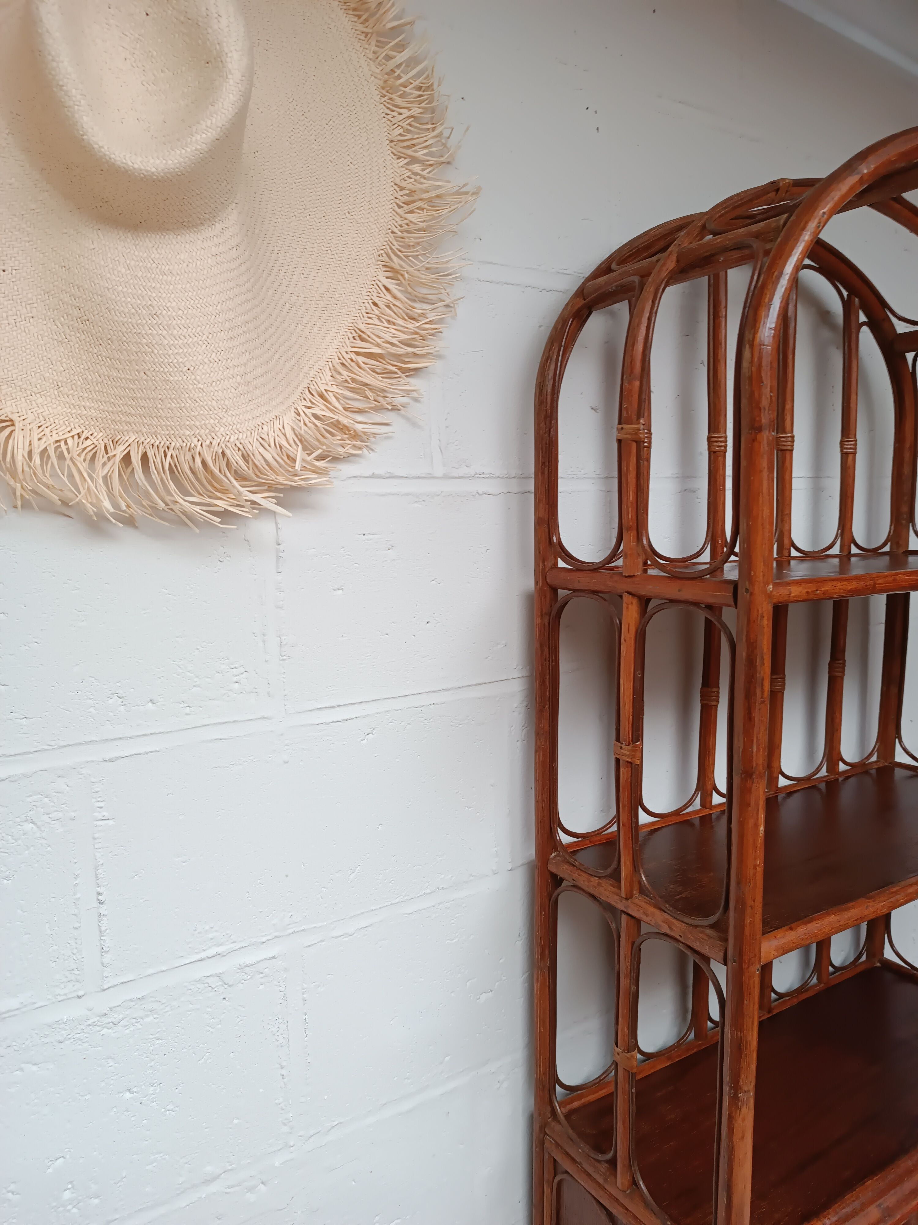 Vintage bamboo bookcase and canning