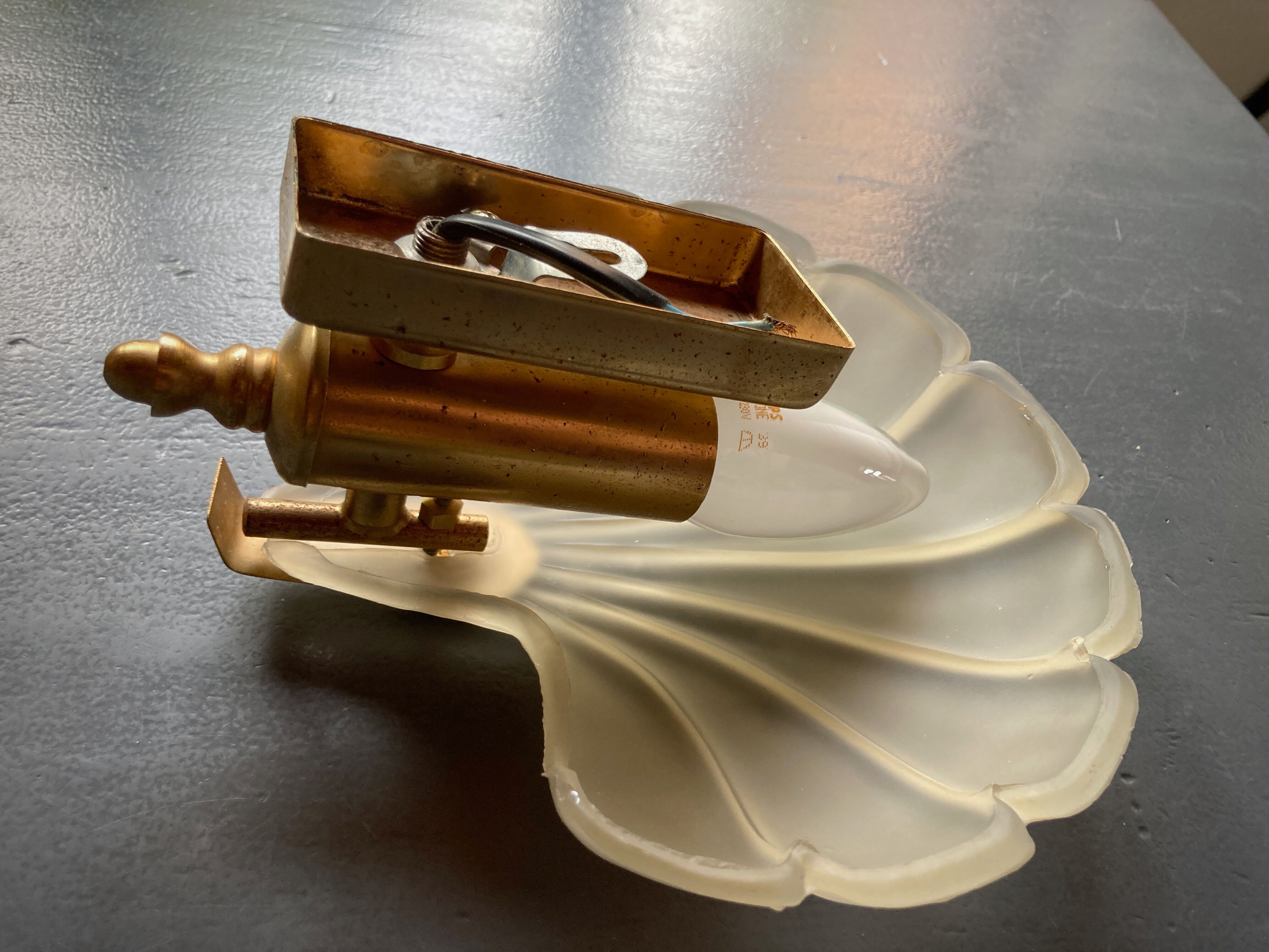 Frosted glass shell wall lamps