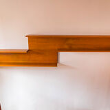 Wall Shelf by Walter Wirz for Wilhelm Renz, 1960s, Set of 2
