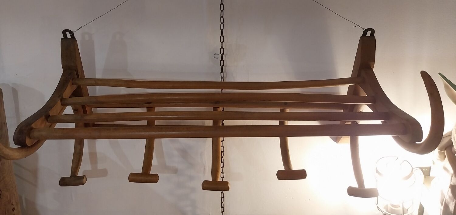 Wall-mounted coat rack