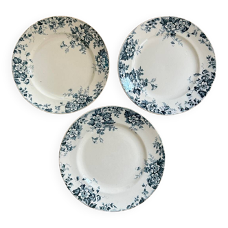 Series of 3 old flat plates “Terre de Fer”