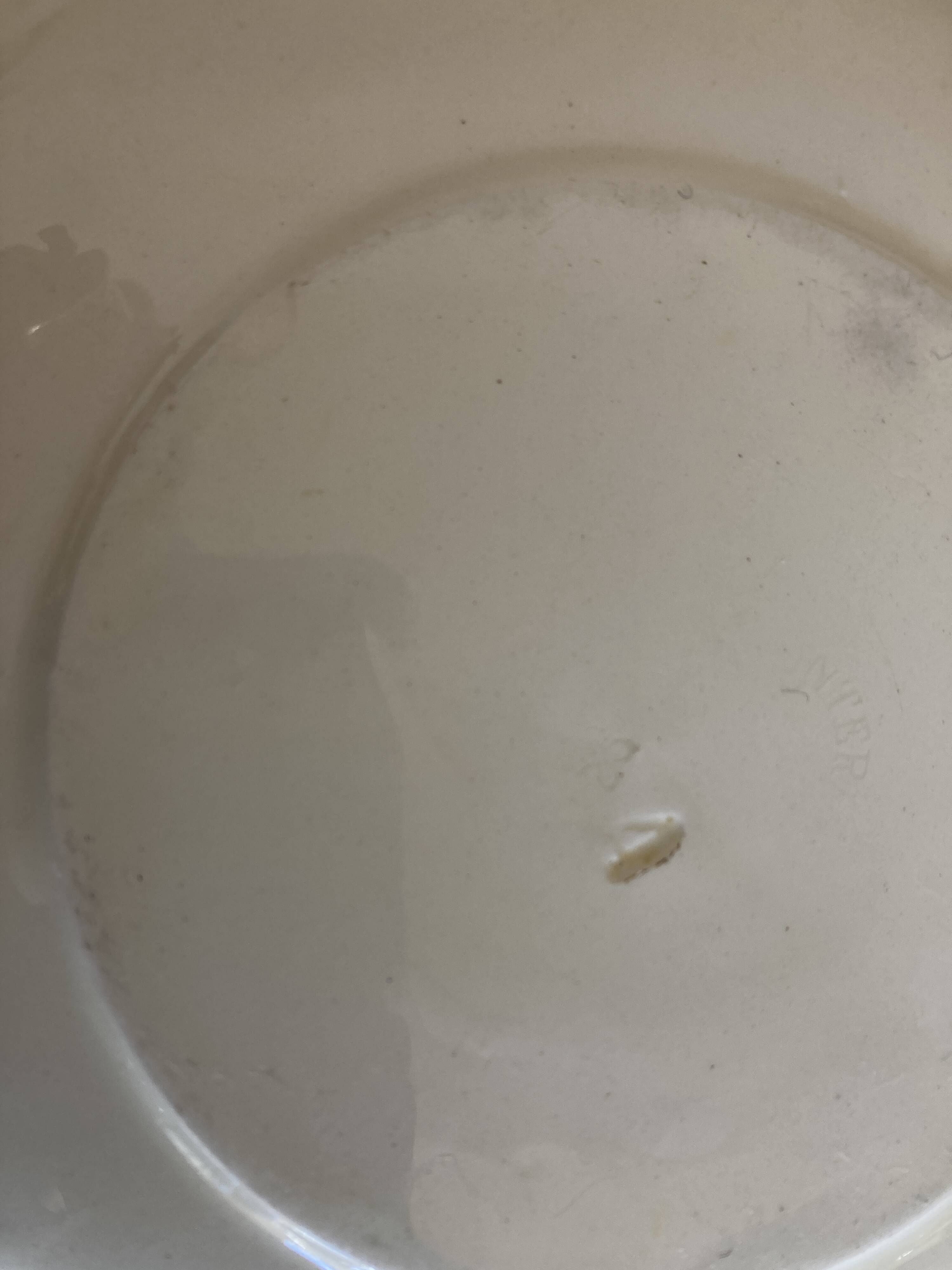 Set of 4 octagonal pearl plates Creil & Montereau 19th