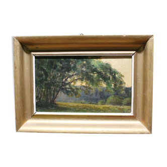 Ancient forest and landscape painting