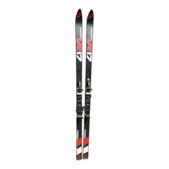 Paire de skis vintage