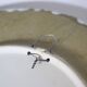Scandinavian Studio Pottery Plate, Signed, 1970s