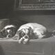 Antique engraving by edwin landseer - cavalier king charles dogs