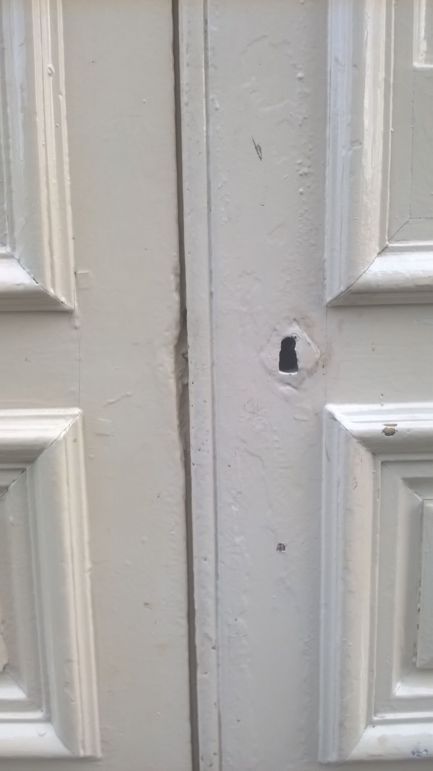 Old Haussmann double doors