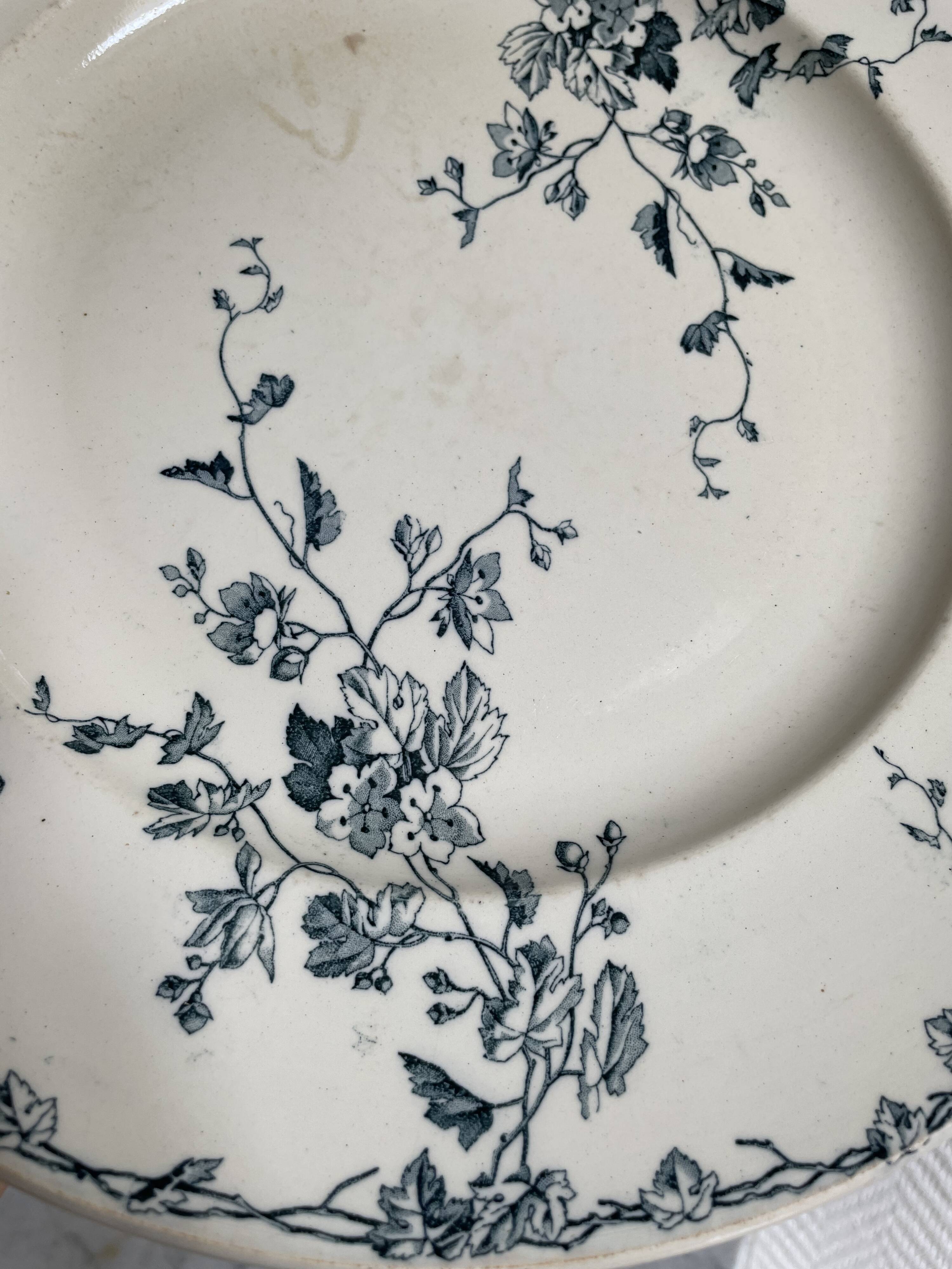 Lunéville KG Spring Dish