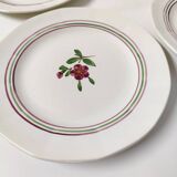 6 Sarreguemines earthenware dessert plate with flowers, Armelle model