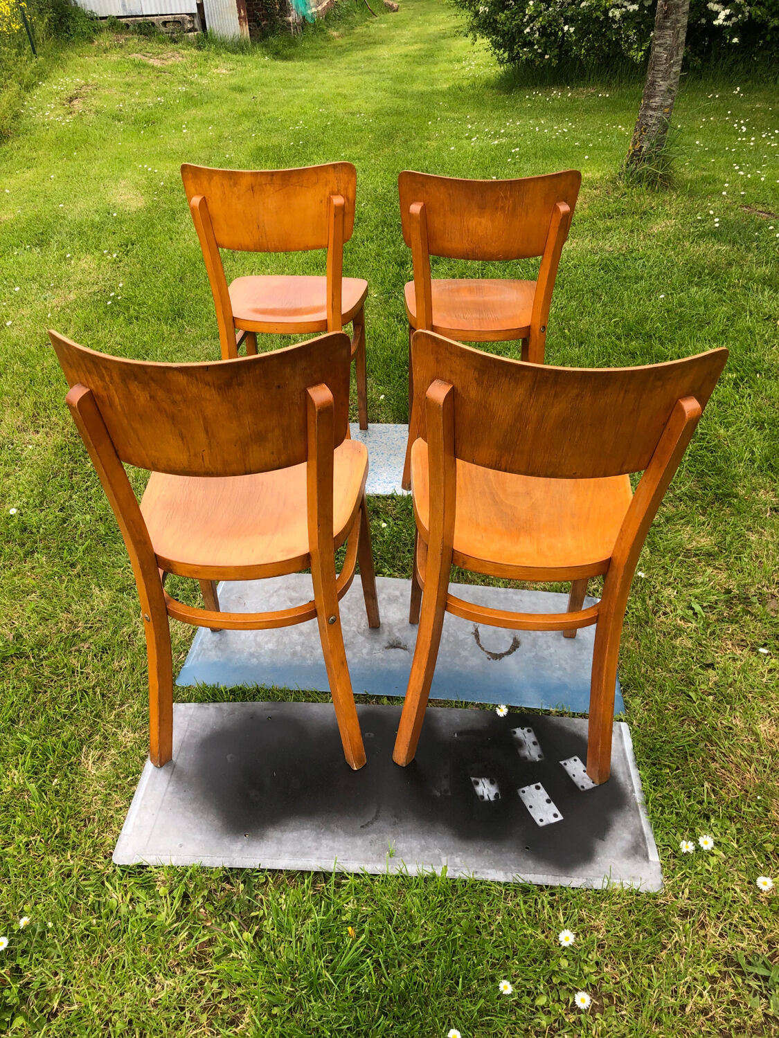 Vintage chairs
