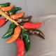 Ancienne cordée de piment d'espelette en céramique
