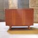 Storage chest or mini bar U459 by Jiri Jiroutek for Interier Praha 1960