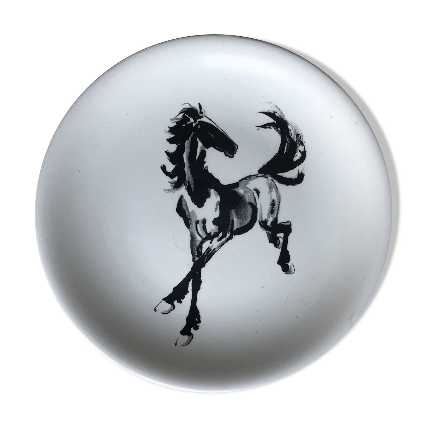 Salins collection plate