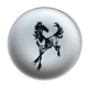 Salins collection plate