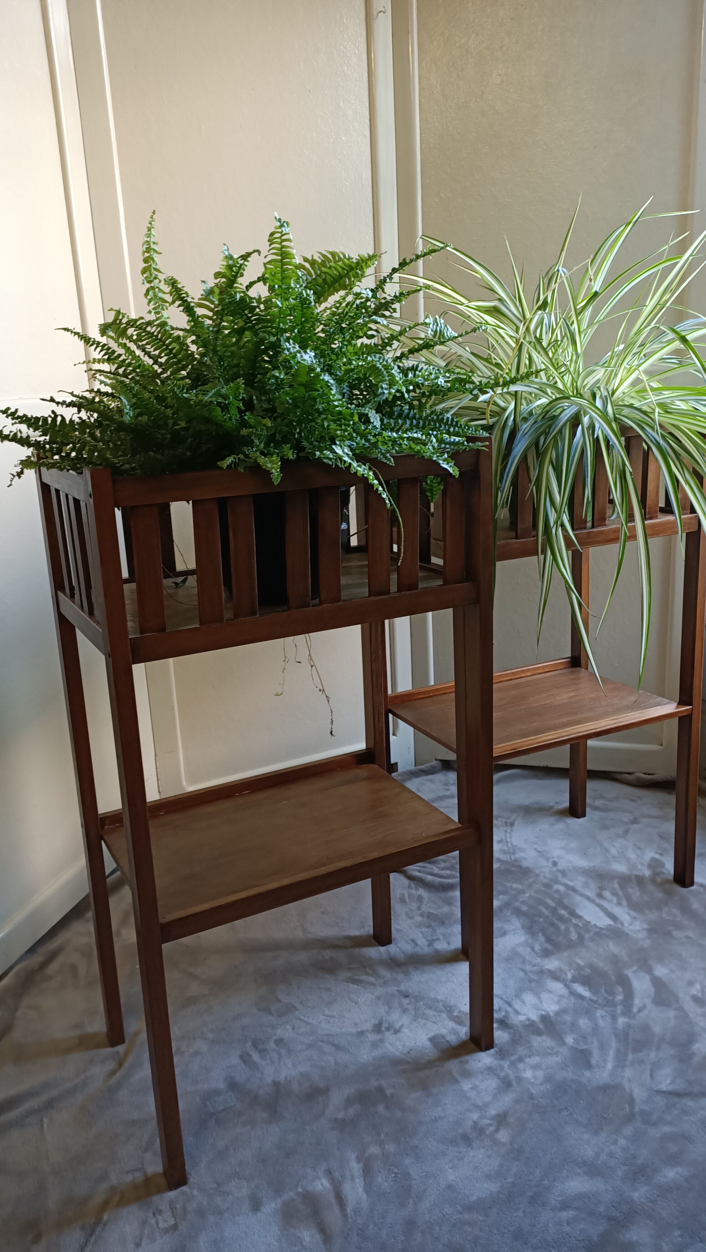 Pair of indoor planters