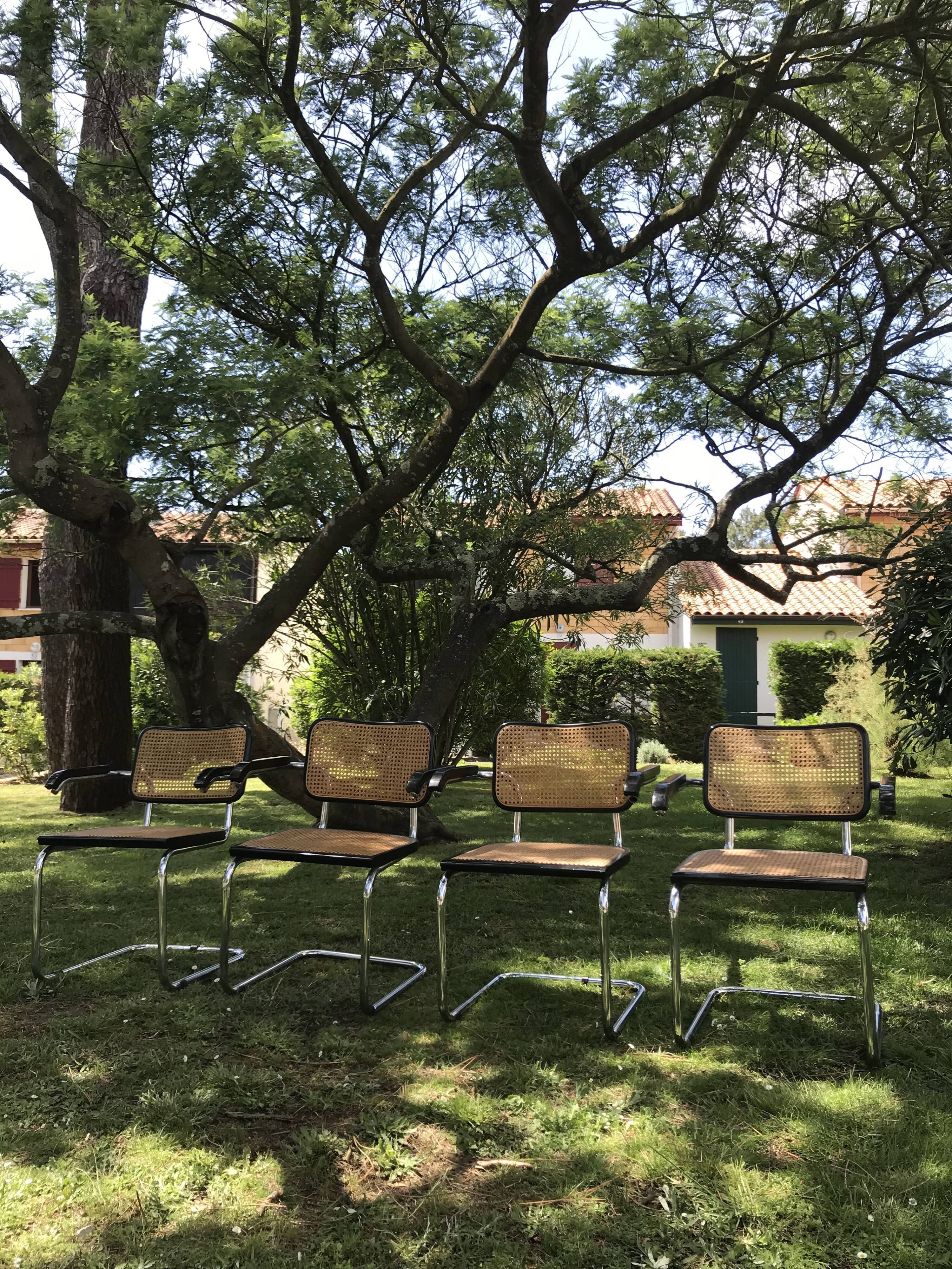 4 chairs B64 Cesca by Marcel Breuer