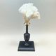 Antique natural white coral on turned wooden base - cabinet of curiosities