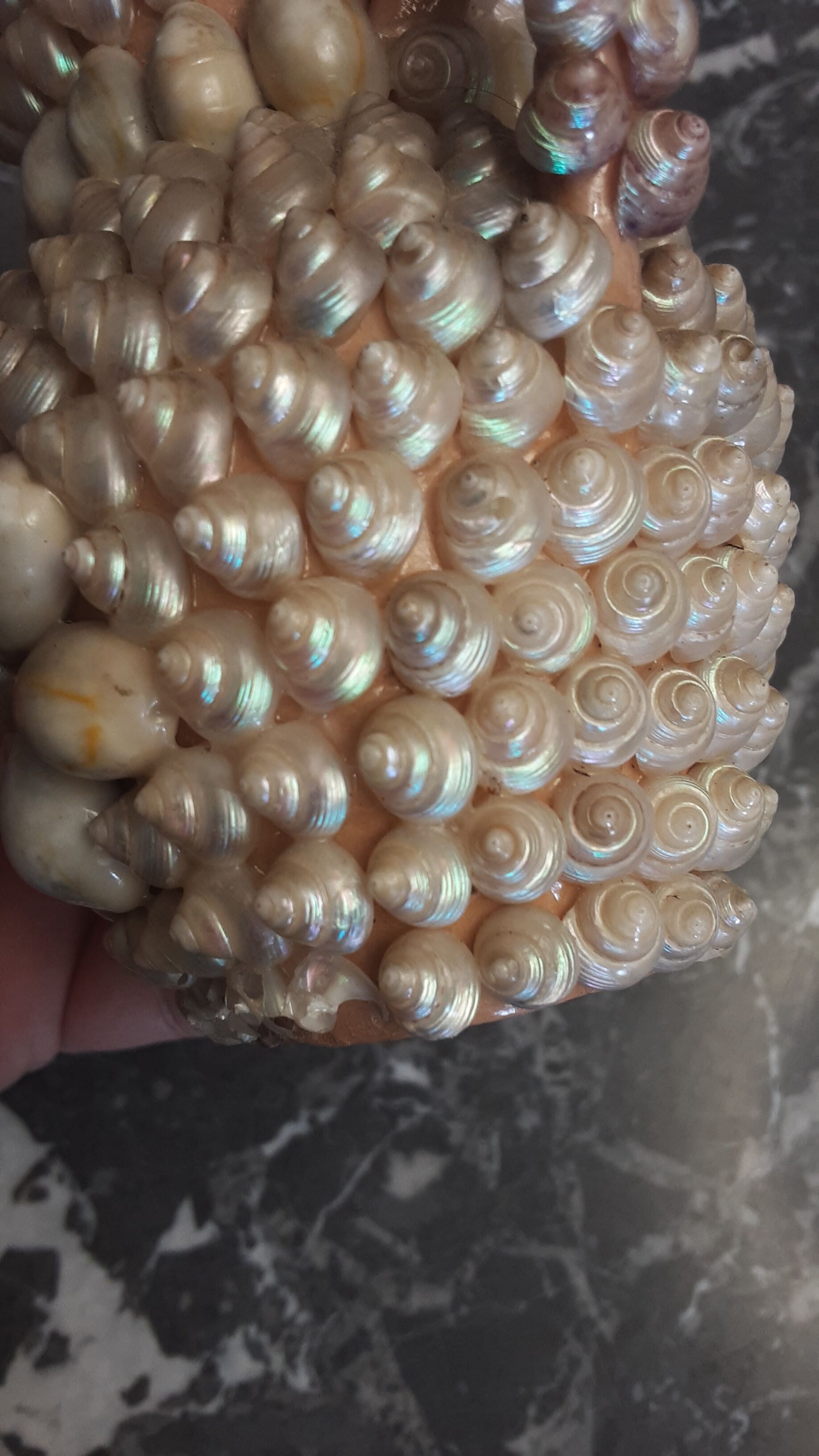 Vase terracotta shells - year 70