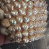 Vase terracotta shells - year 70