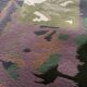 "Claire" Hand Tufted Rug by Tisca Switzerland 1980-1990s