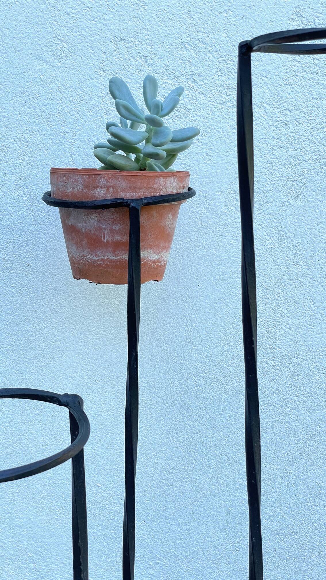 Vintage geometric steel plant holder