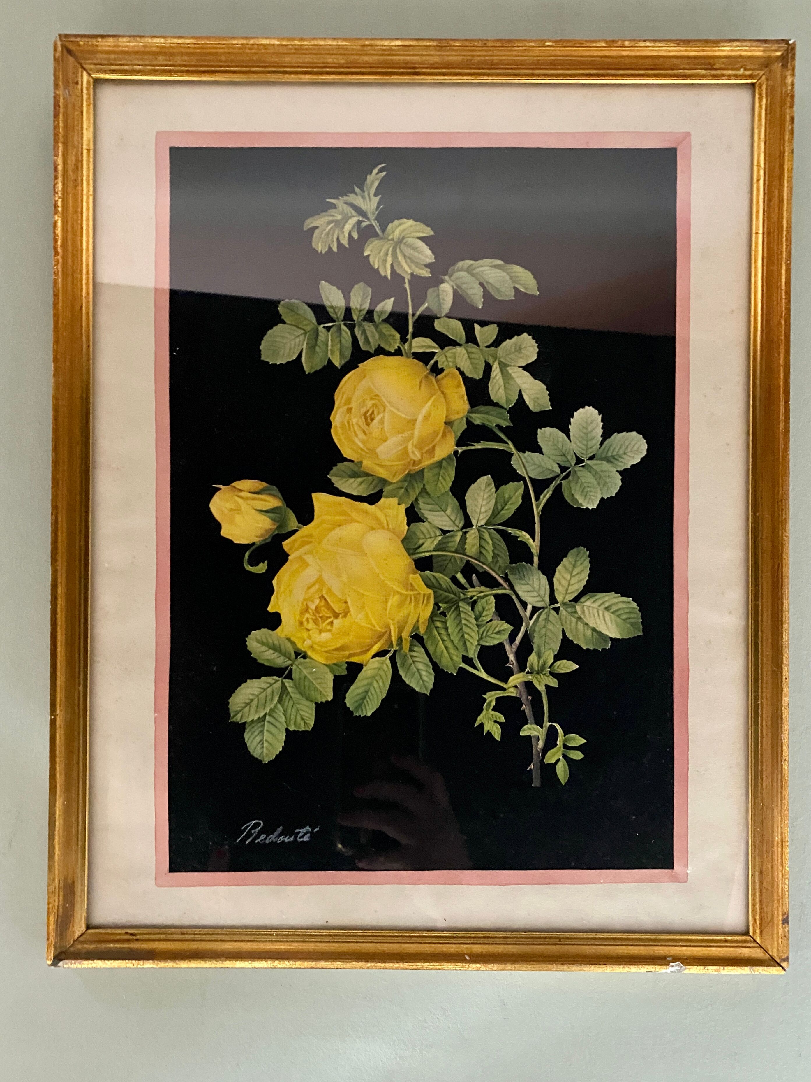 Framed poster vintage pinks yellow feared