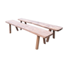 Primitive bench pair