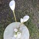Vintage lamp with 5 branches in gilded brass and opaline – Stilnovo spirit / But
