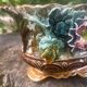 Antique jardinière in barbotine attributed to Onnaing with a floral motif.