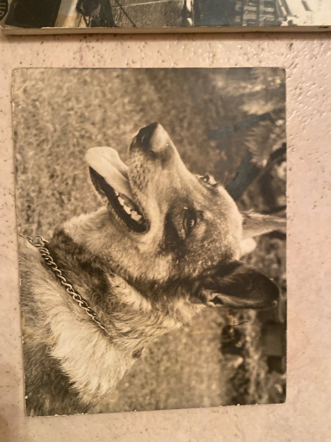 Duo of Vintage Photographs (1970s/1980s) on Panels – Fishing Trawler