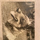 Duo of Vintage Photographs (1970s/1980s) on Panels – Fishing Trawler