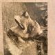 Duo of Vintage Photographs (1970s/1980s) on Panels – Fishing Boat