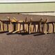 Lot of 4 luterma wood bistrot chairs years 50/60