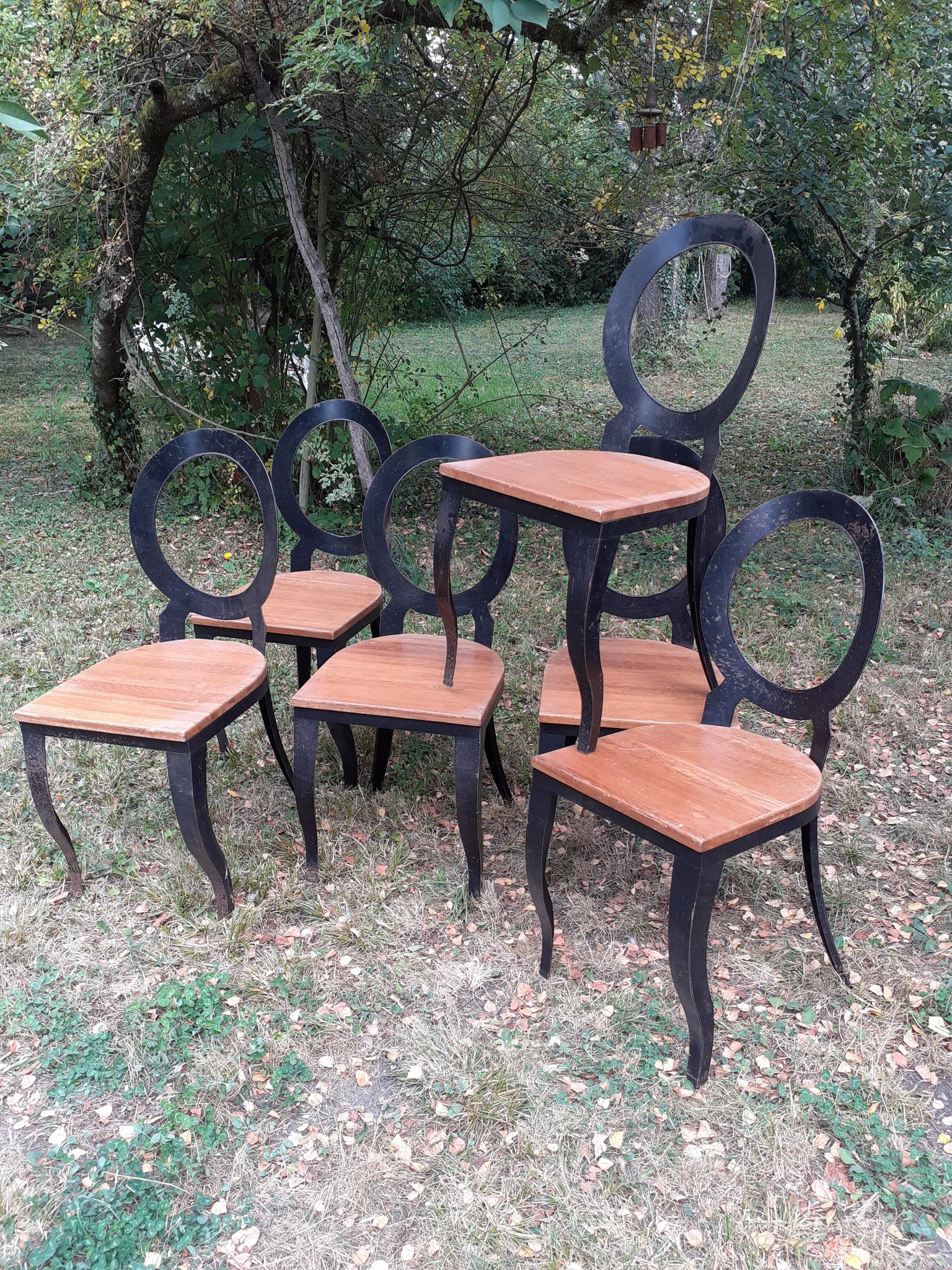 6 chairs 80s Louis XVI style