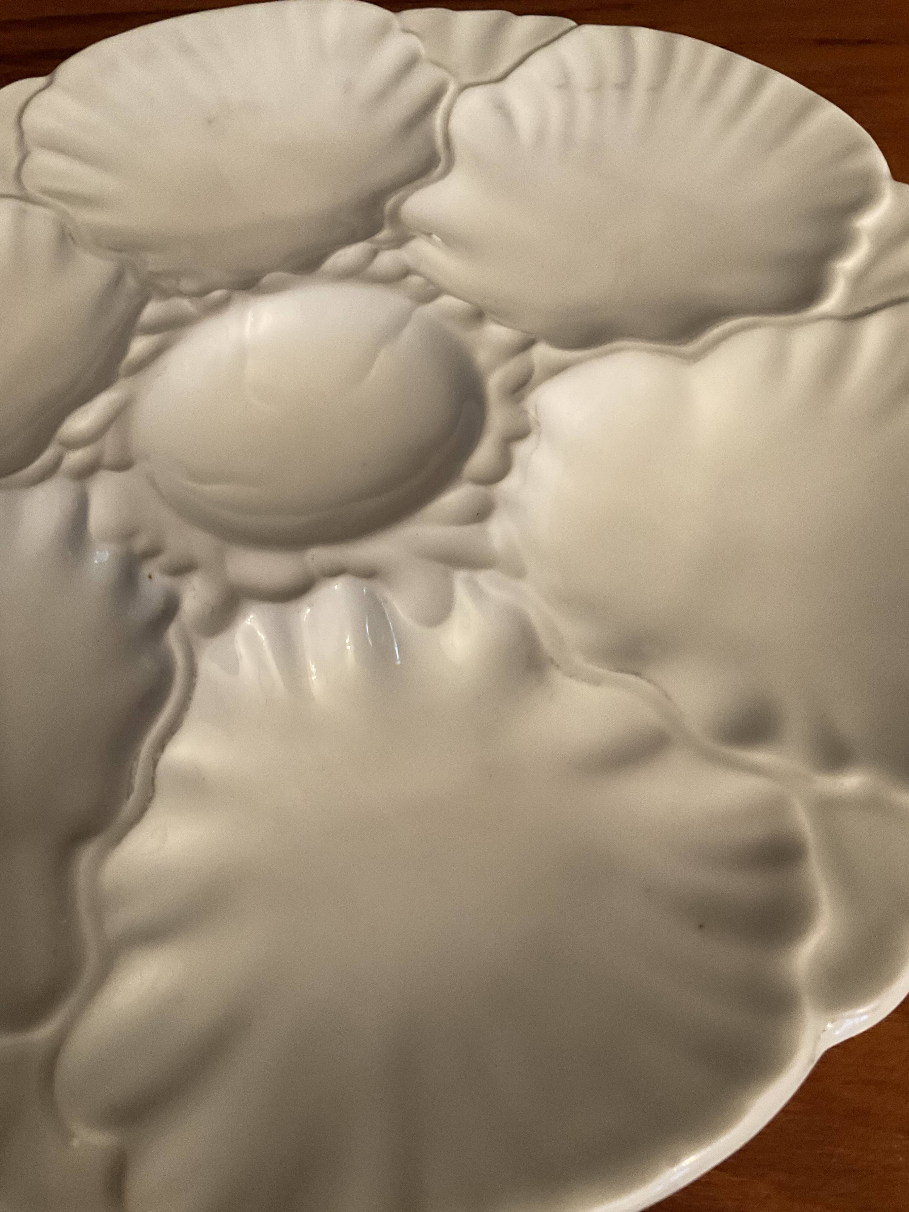 Series of 6 porcelain oyster plates