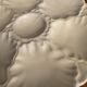 Series of 6 porcelain oyster plates