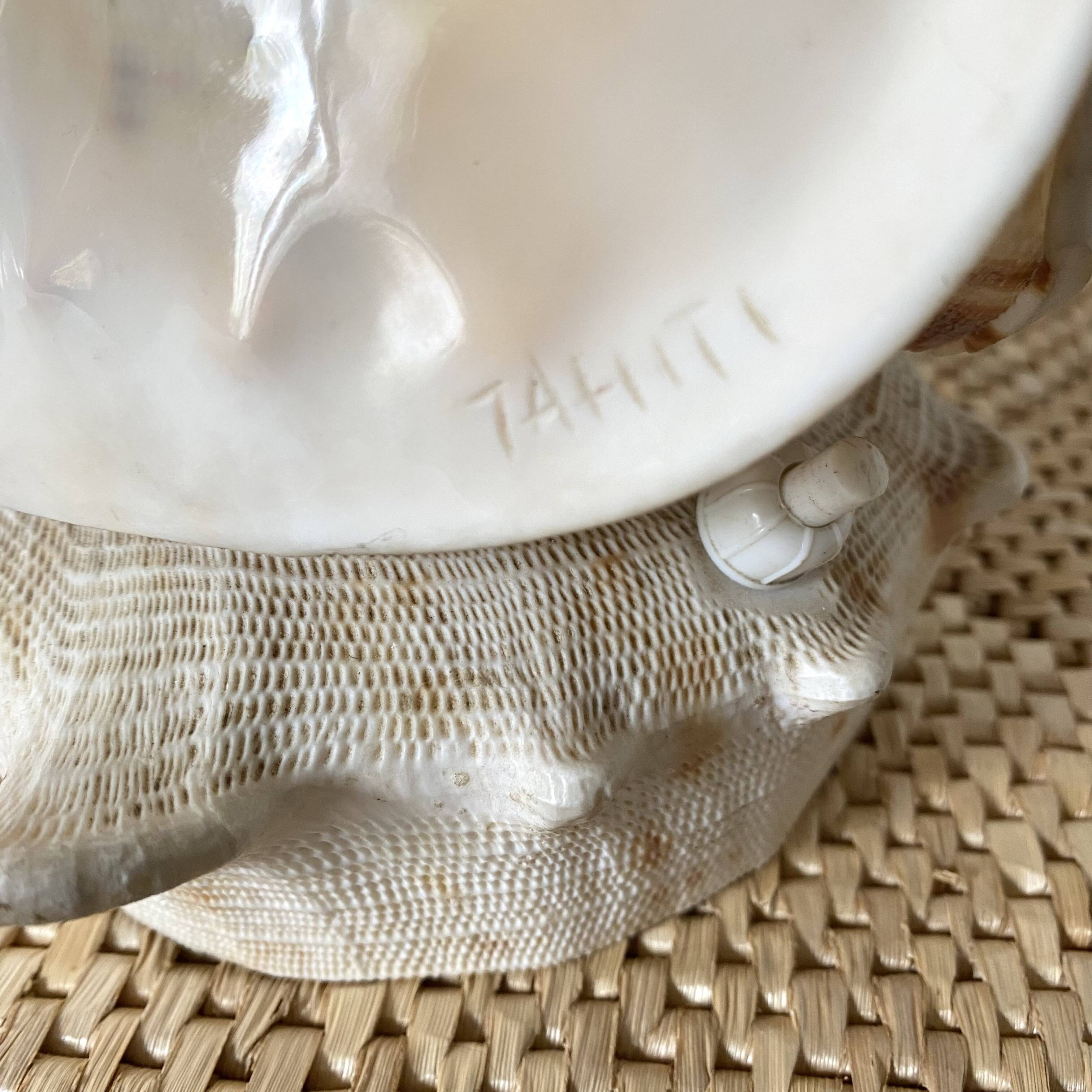 Lampe veilleuse en coquillage casque royal Tahiti