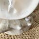 Lampe veilleuse en coquillage casque royal Tahiti