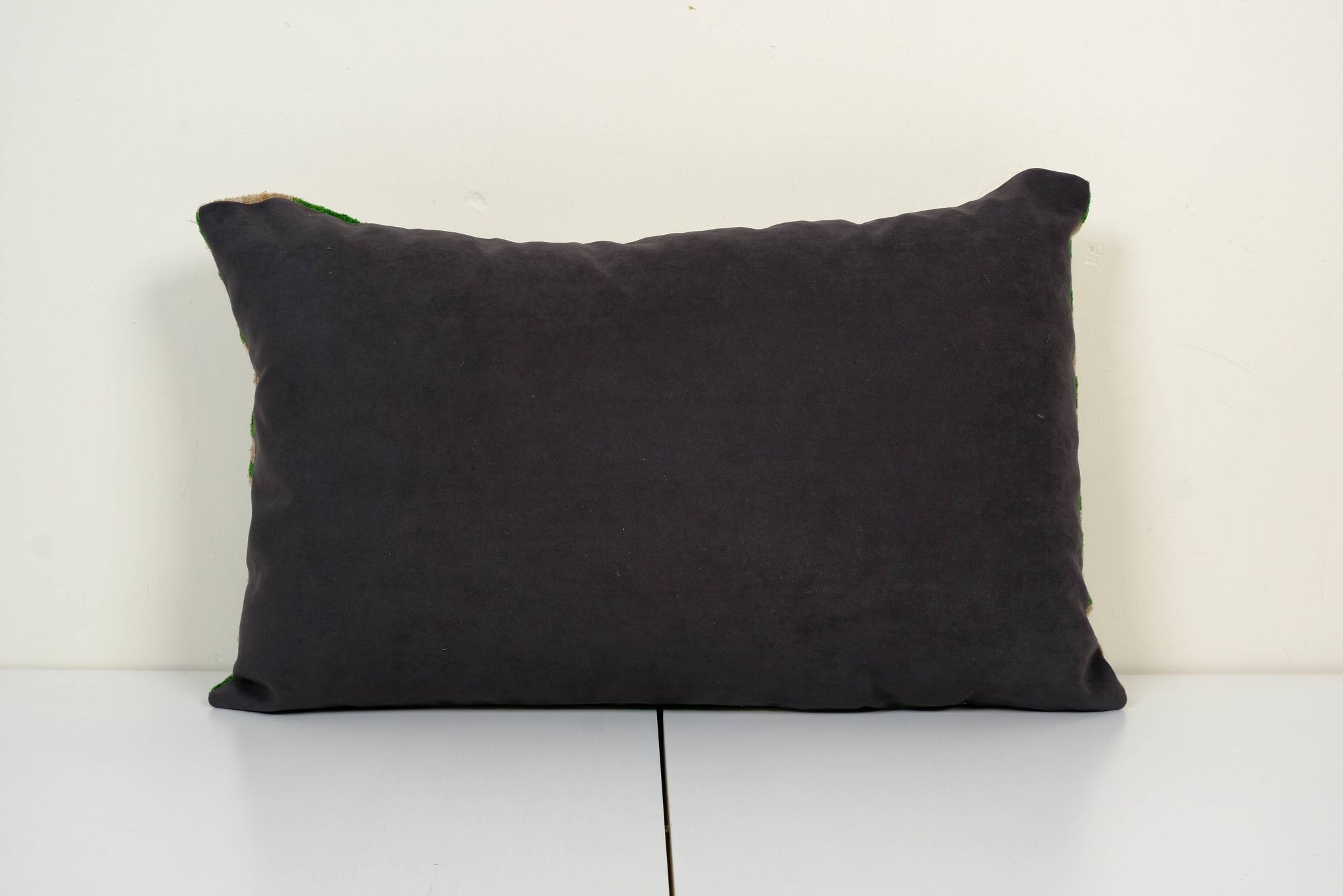 Cushion