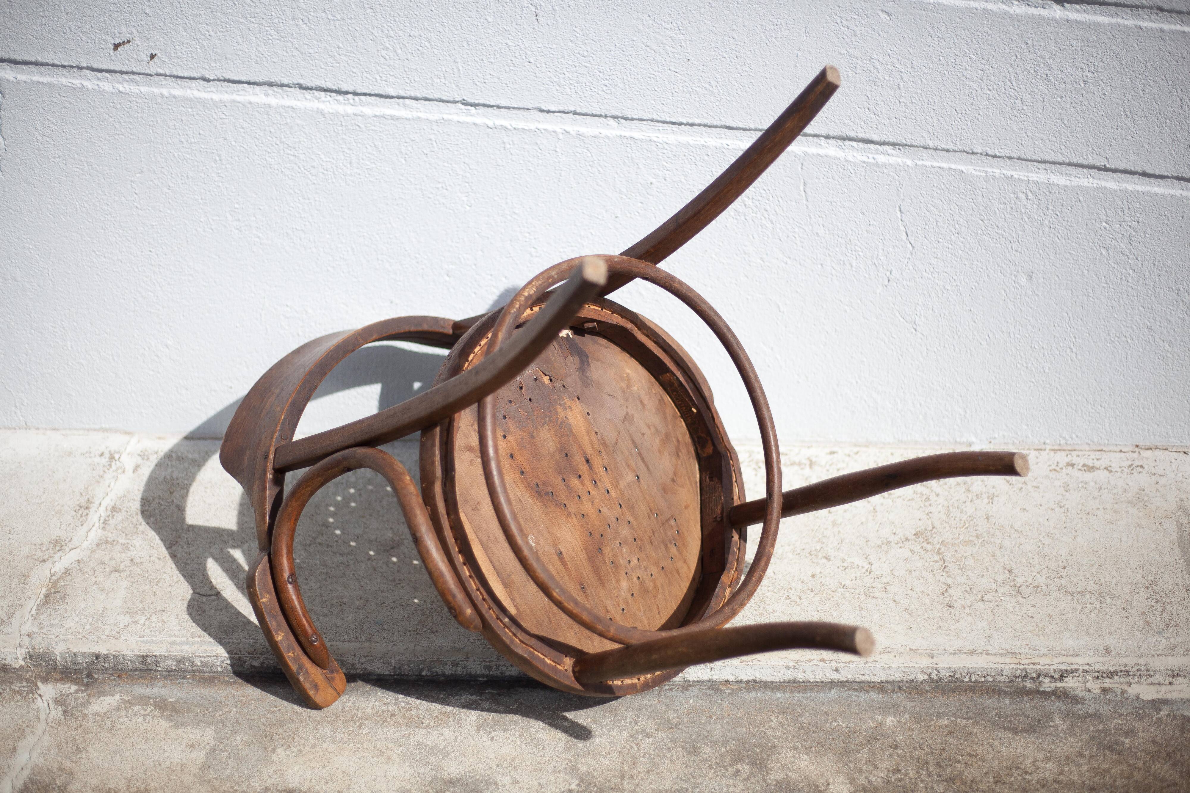 Curved wooden armchair Mundus vienna Austria, curved wooden chair, living room, bookcase, 20's