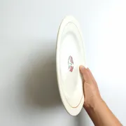 Iron earth plate Salins model without worry old cream flowers