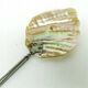 K9X caviar scoop made of mother-of-pearl