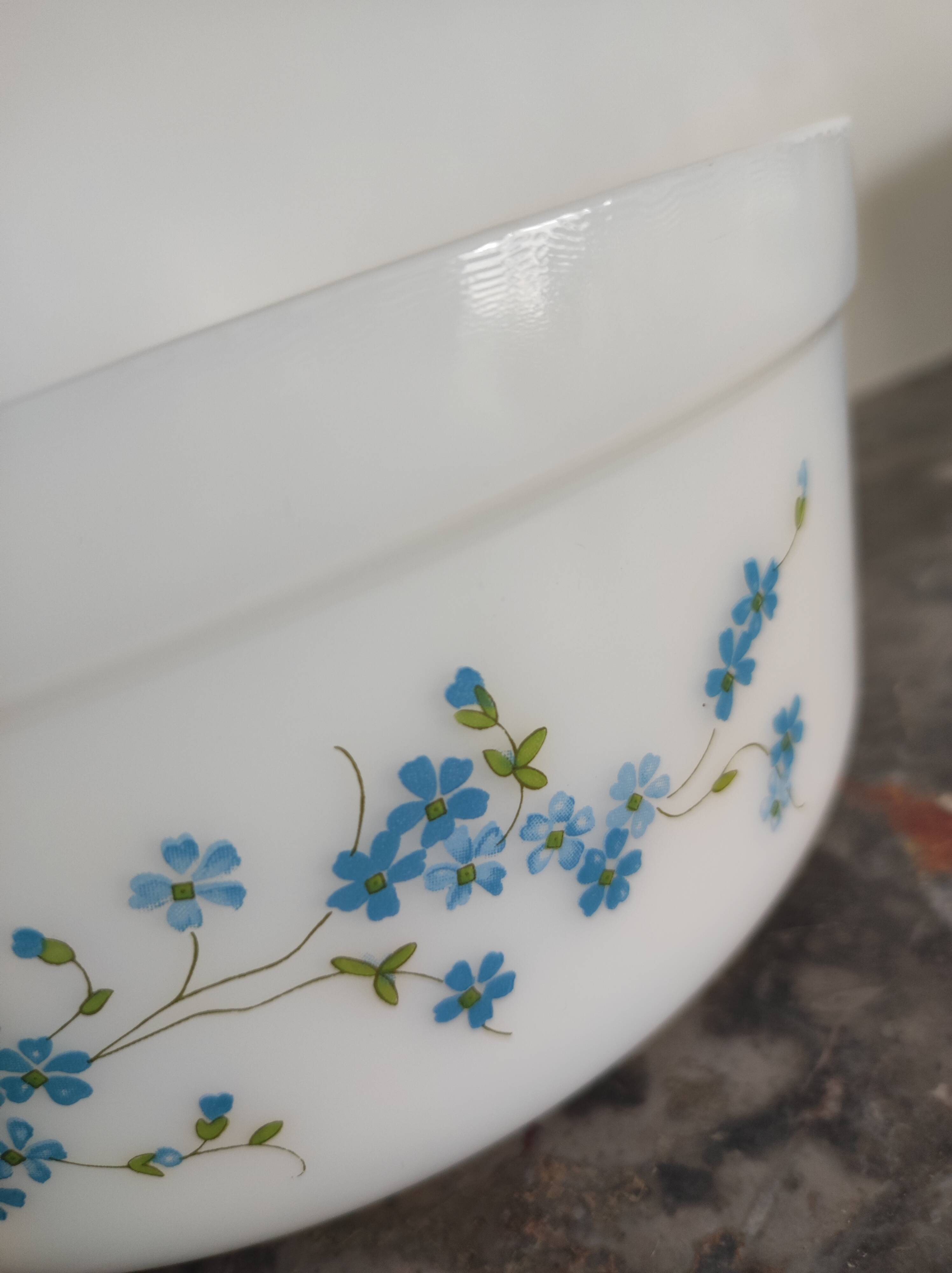 Salad bowl Arcopal Veronica series