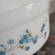 Salad bowl Arcopal Veronica series