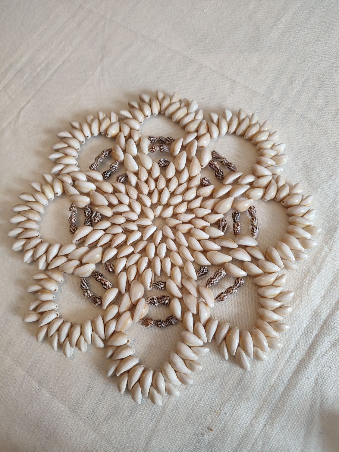 Seashell trivets