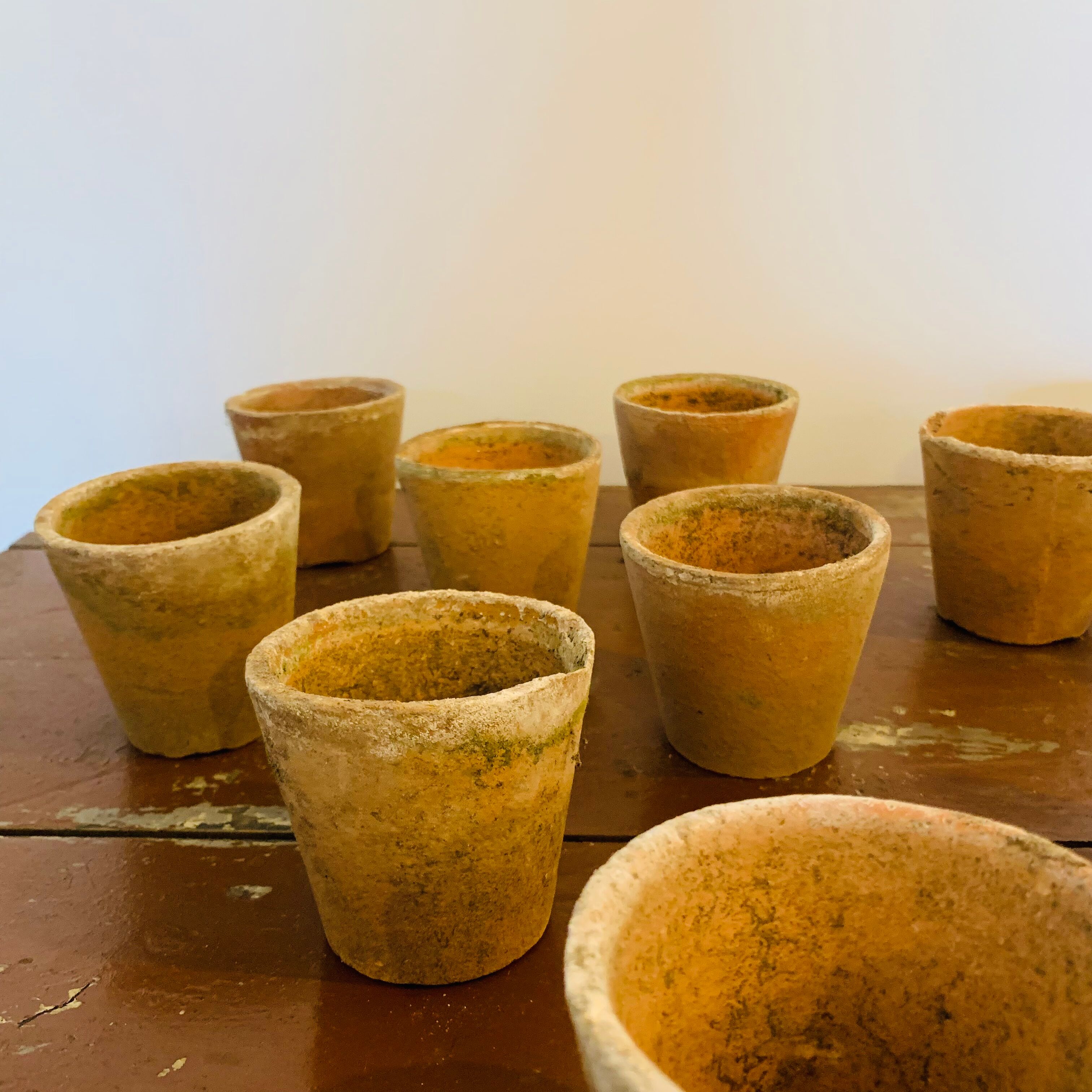 Lot of 30 terracotta pots circa 1930 graineterie